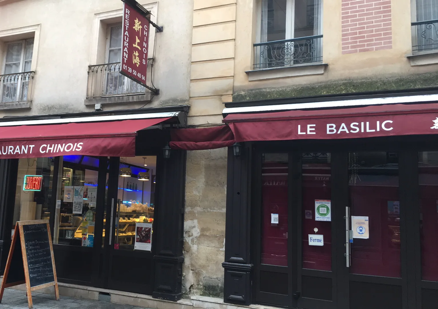 Le Basilic